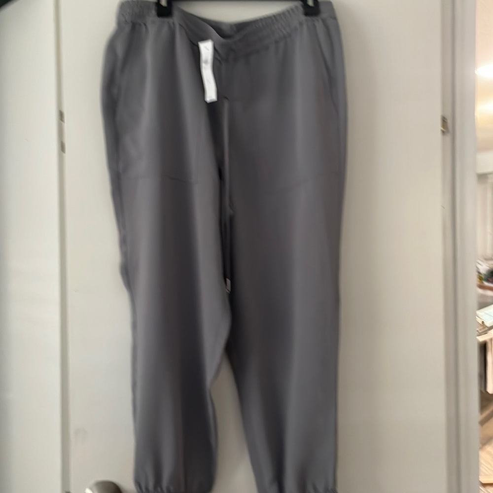 Ann Taylor joggers 1 Beige 1 Gray